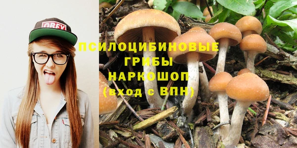 кокс Белокуриха