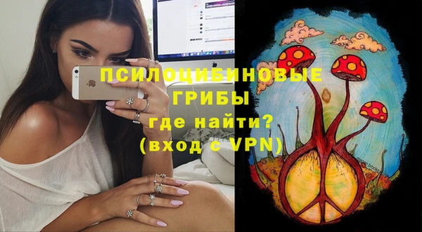 кокс Белокуриха