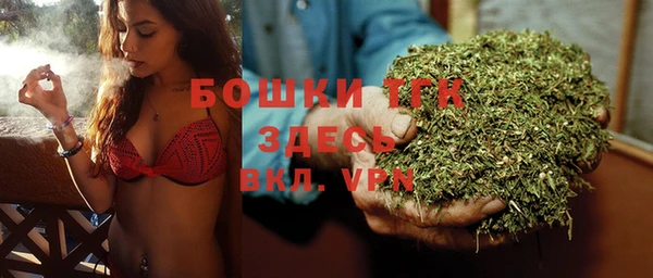 кокс Белокуриха