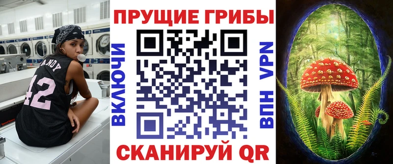 Псилоцибиновые грибы ЛСД  Вольск 